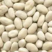 beans gnb