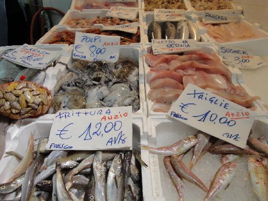 il pesce