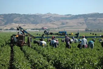 immigrati lavoro stagionale agricoltura