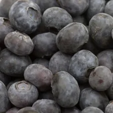 lib Blueberries 006a
