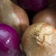 lib Onions 018a