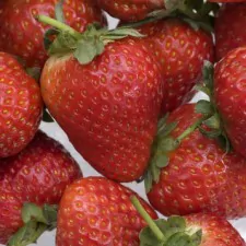 lib Strawberries 001a