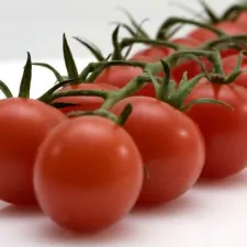 lib Tomatoes 021a