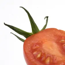 lib Tomatoes 043a