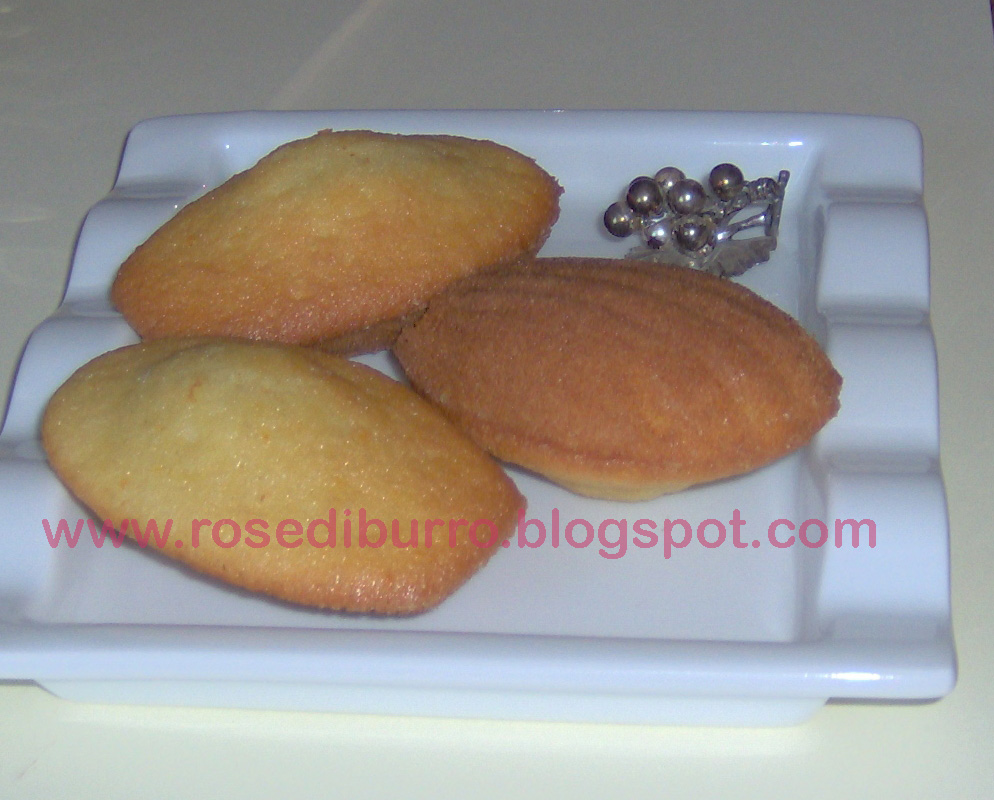 Madeleine2 copia