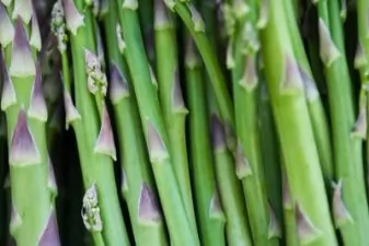 article new ehow images a07 b8 7e deep plant asparagus 800x800
