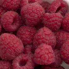 lib Raspberries 004a