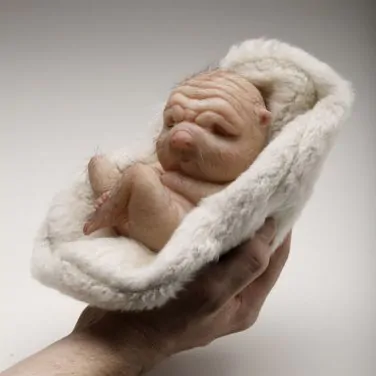 patricia piccinini 32