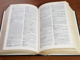 Dove si trova il numero della carta d'identità elettronica