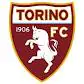 logo torino1