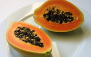 PAPAYA 185x115