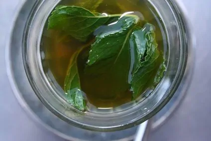 article new ehow images a07 02 bt pick mint leaves tea  800x800