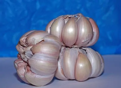 article new ehow images a07 3r r6 effects garlic shampoo 1.1 800x800