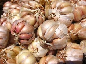 article new ehow images a07 gc jl side effects garlic capsules 800x800 300x225