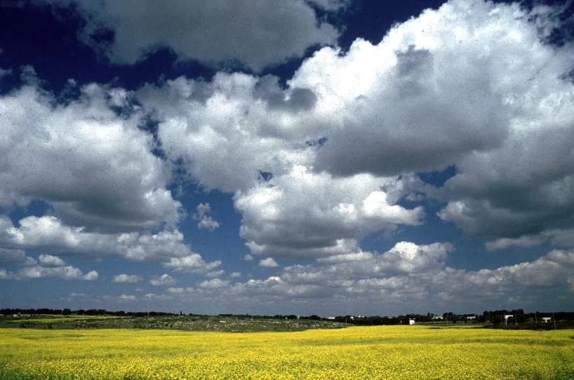 Paesaggio Salento