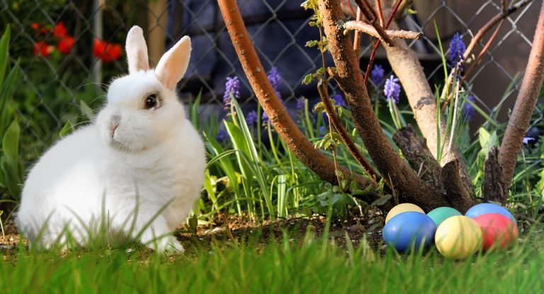 Come si festeggia la Pasqua inglese