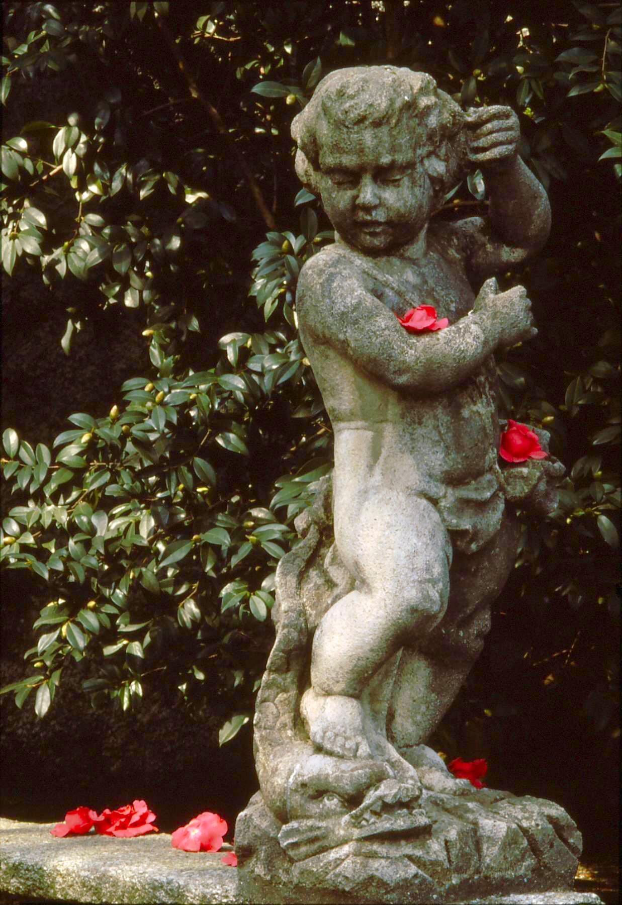 DecoltanaScan20001