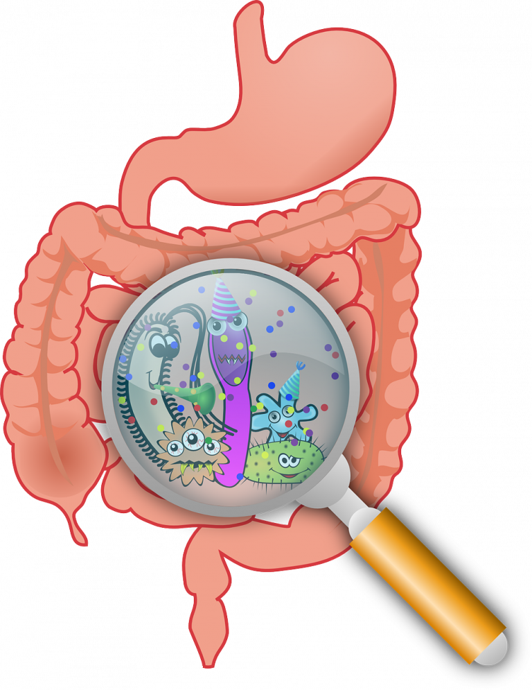 Digestione chimica
