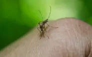 Proteggersi dalla zanzare