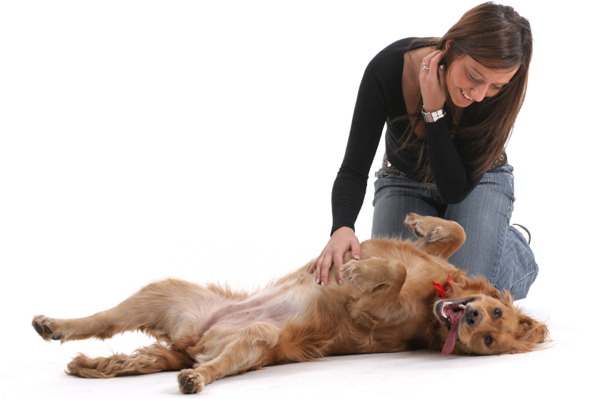 relax yoga dog