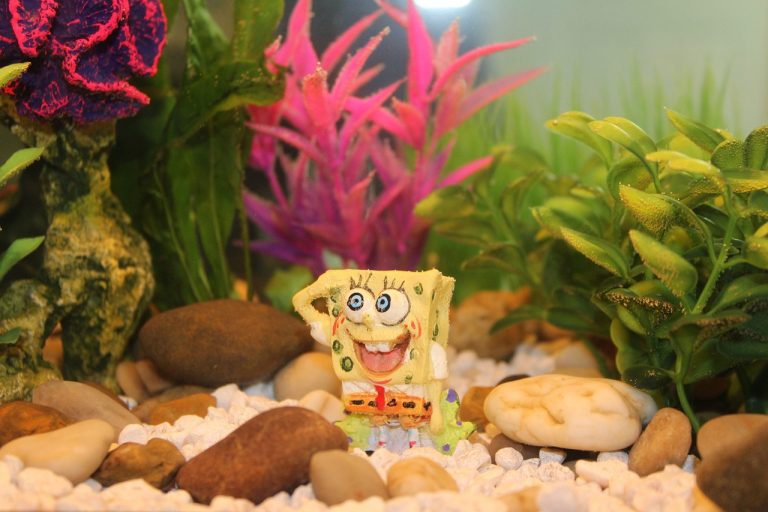 Spongebob