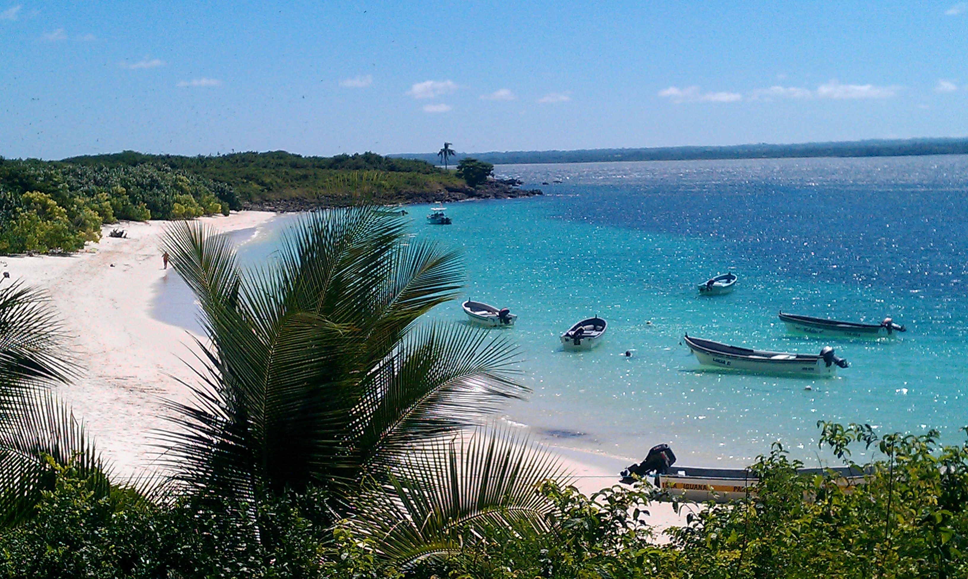 isla iguana