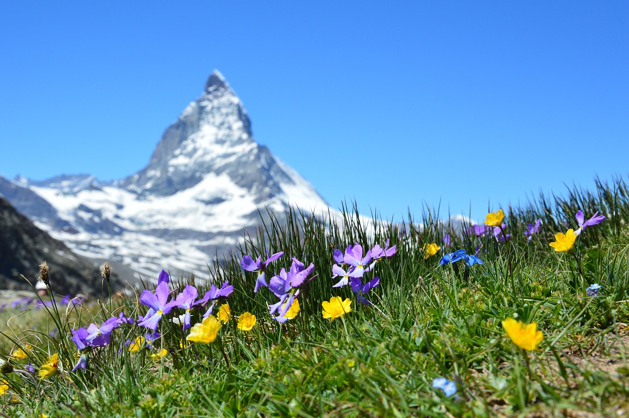 Che lingua si parla in Svizzera Che lingua si parla in Svizzera