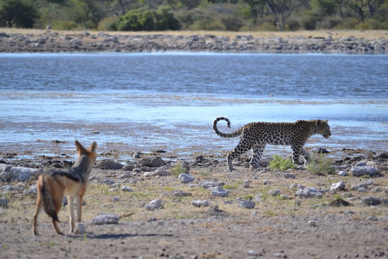 namibia