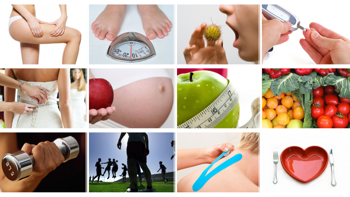 LPH_google_plus_cpver LPH google plus cpver