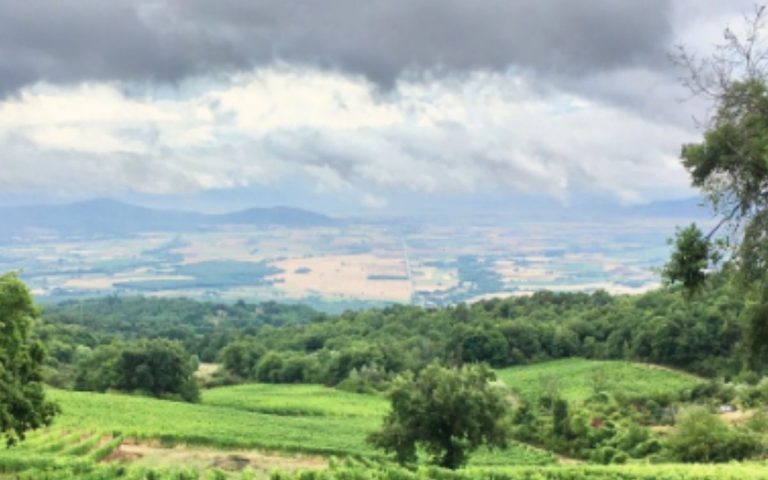 agriturismo 1 768x480