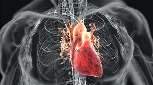 cuore prevenire attacco cardiaco sportivo braccialetto