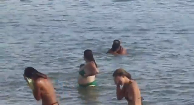 sexonthebeach