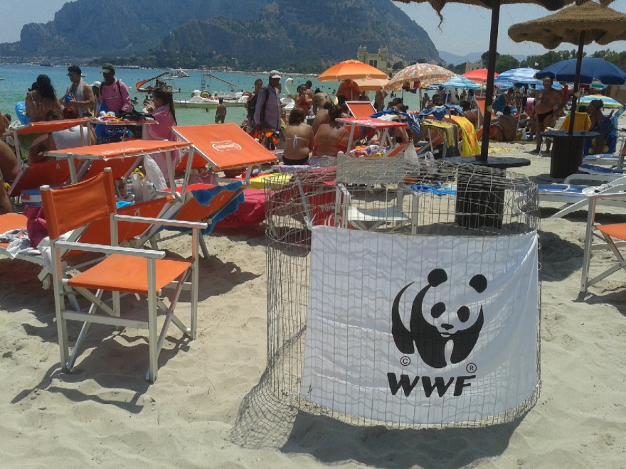nido wwf schiuse uova a mondello