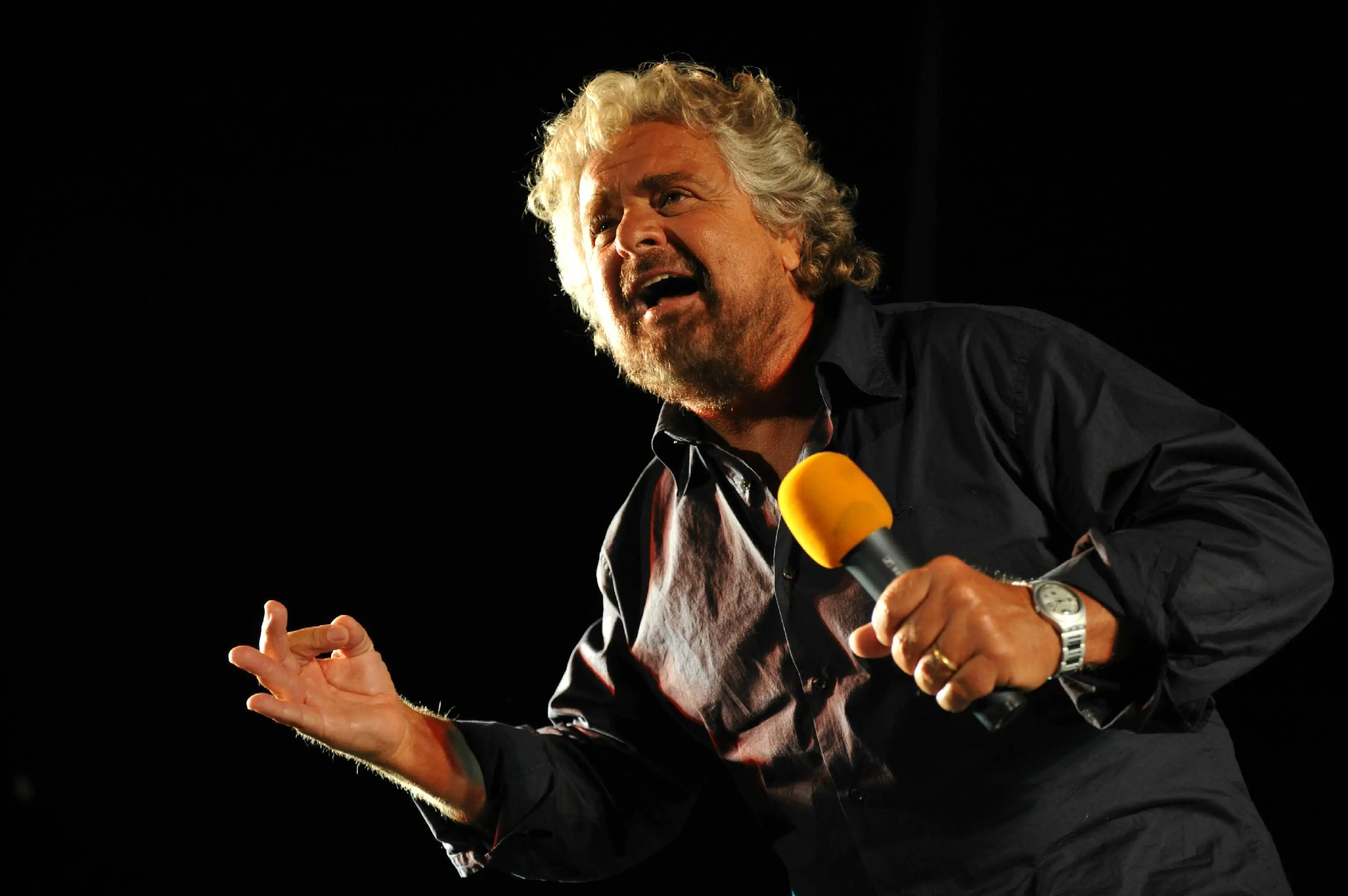 grillo