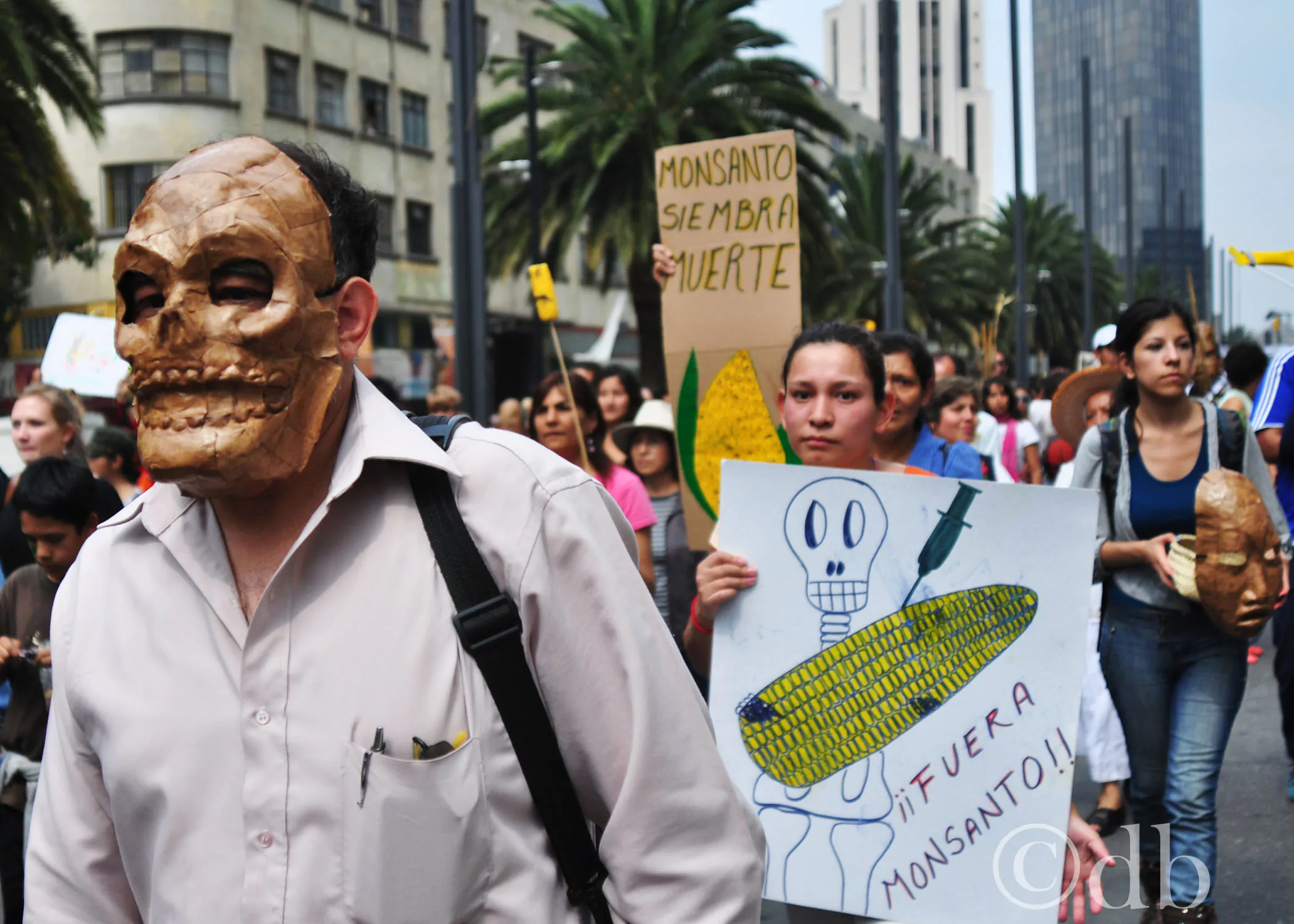 protesta contra monsanto bellas artes monumento a la revolucion debora poo 5