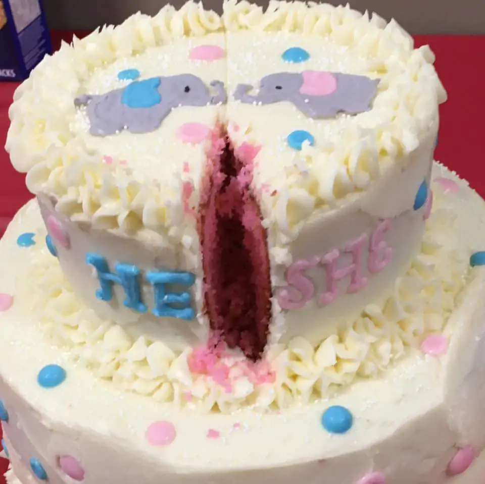 vagina cake 2