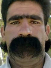 awful mustaches huge bushy