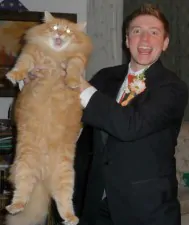 funny prom photo cat date