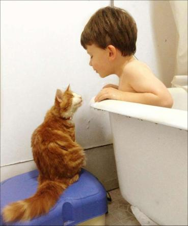 C_4_articolo_2014995__ImageGallery__imageGalleryItem_5_image
