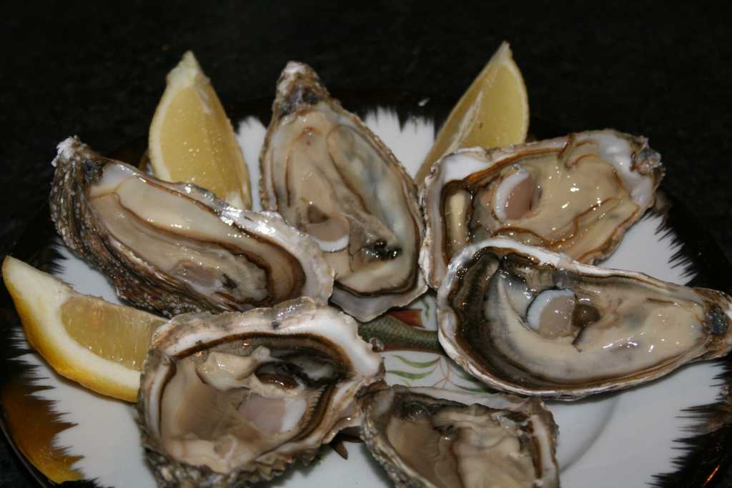 Ostriche