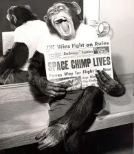 Uno Scimpanz Astronauta posa per le fotocamere dopo una missione di successo nello spazio 1961