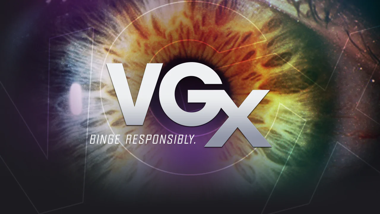 VGX 2013