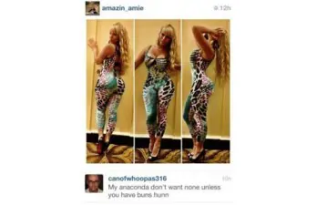 funny instagram comments anaconda