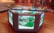furniture elegant table design with built in aquarium and glass top for living room fish tank ideas