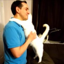 Risultati immagini per gatto e padroni