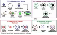 le diverse tecniche usate per riprogrammazione