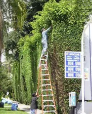 safety fail people 22