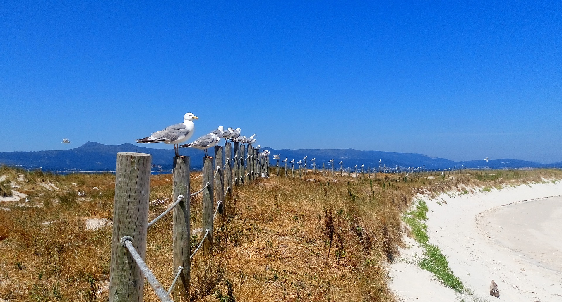 spiaggia Spagna