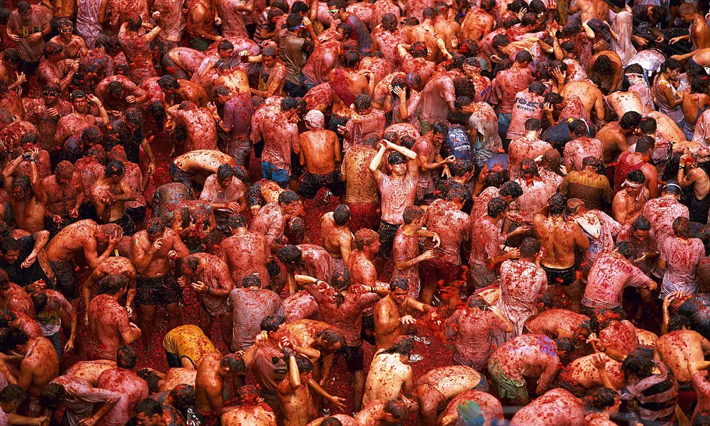 spain province Valencia Bunol tomato-party crowd no models release Iberian peninsula tomato-festival festival color La Tomatina battle tomatoes happiness pleasantry tradition tomato-battle color-mood red Bunol color red color-mood festival happiness pleasantry Iberian peninsula La tomatina crowd province valencia battle spain tomatoes tomato-party tomato-festival tomato-battle tradition