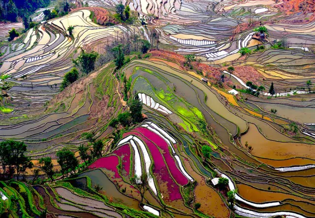 27-Terrace-Rice-Fields-China
